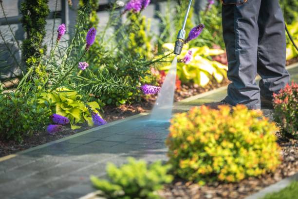 Best Pool Deck Cleaning  in Malvern, OH